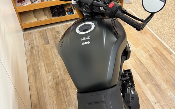 Neufahrzeug Suzuki GSX-8T - Bild 5 Neufahrzeug Suzuki GSX-8T - Bild 5
