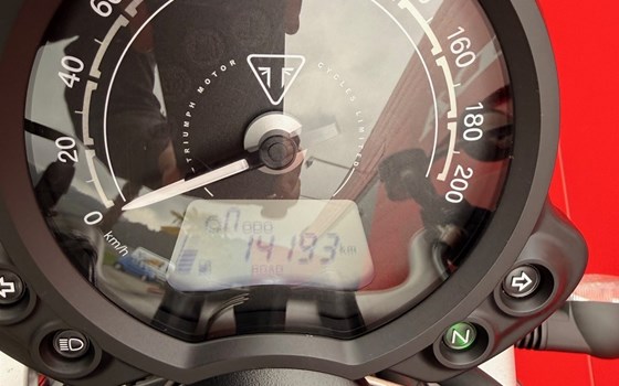 Motorrad Occasion Triumph Street Scrambler - Bild 5