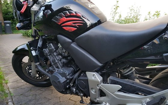 Gebrauchtmotorrad Honda CBF 600 - Bild 3