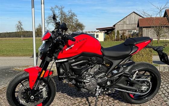 Neufahrzeug Ducati Monster + - Bild 2 Neufahrzeug Ducati Monster + - Bild 2