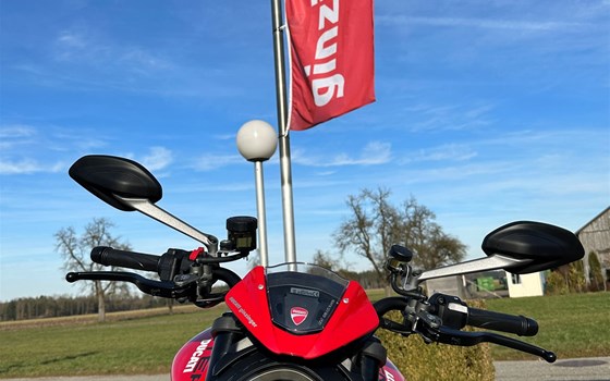 Neufahrzeug Ducati Monster + - Bild 5 Neufahrzeug Ducati Monster + - Bild 5