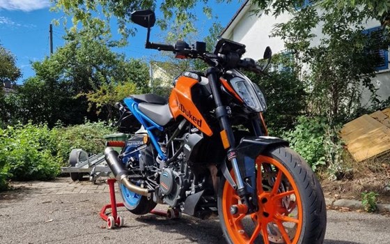 Motorrad Occasion KTM 390 Duke - Bild 1
