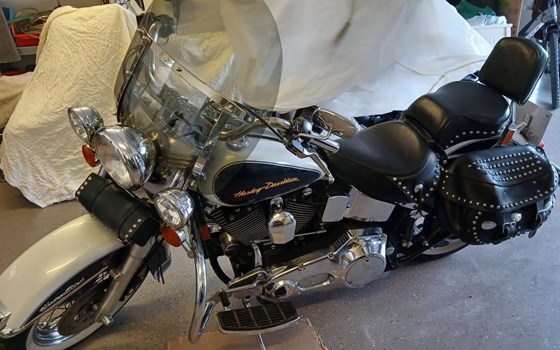 Gebrauchtmotorrad Harley-Davidson FXST/F - Bild 1 Gebrauchtmotorrad Harley-Davidson FXST/F - Bild 1
