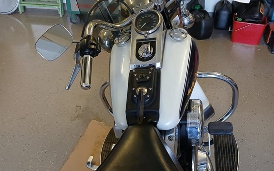 Gebrauchtmotorrad Harley-Davidson FXST/F - Bild 8 Gebrauchtmotorrad Harley-Davidson FXST/F - Bild 8