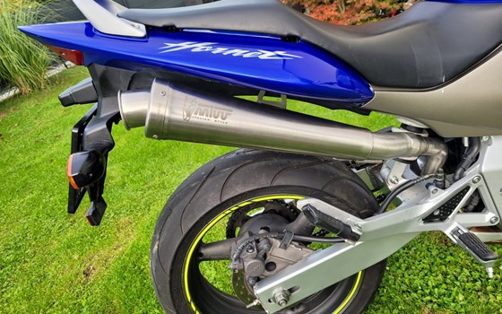 Gebrauchtmotorrad Honda CB 600 F Hornet - Bild 6 Gebrauchtmotorrad Honda CB 600 F Hornet - Bild 6