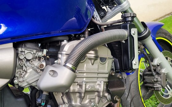 Gebrauchtmotorrad Honda CB 600 F Hornet - Bild 12 Gebrauchtmotorrad Honda CB 600 F Hornet - Bild 12