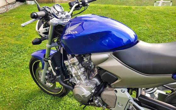 Gebrauchtmotorrad Honda CB 600 F Hornet - Bild 3 Gebrauchtmotorrad Honda CB 600 F Hornet - Bild 3