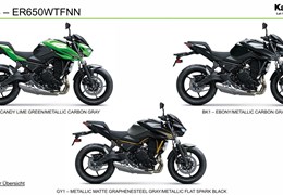 Neumotorrad Kawasaki Z650