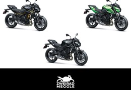 Neumotorrad Kawasaki Z650