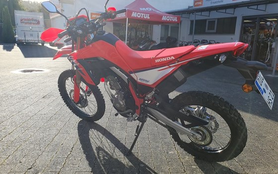 Gebrauchtmotorrad Honda CRF300L - Bild 10
