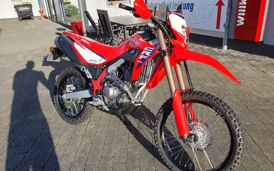 Gebrauchtmotorrad Honda CRF300L - Bild 2