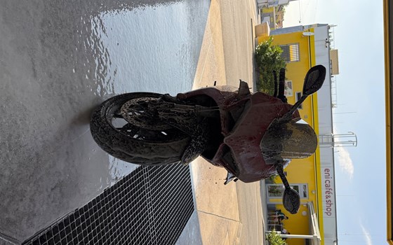 Gebrauchtmotorrad Ducati 959 Panigale - Bild 6 Gebrauchtmotorrad Ducati 959 Panigale - Bild 6