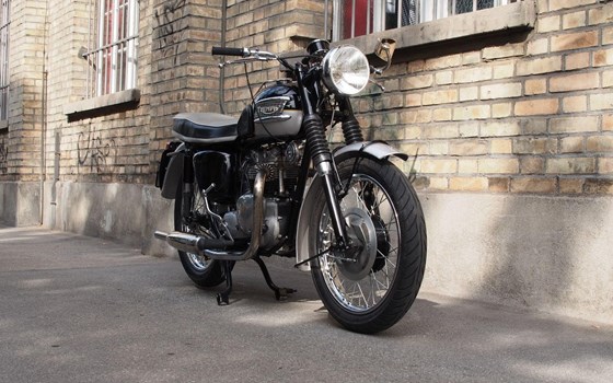 Motorrad Occasion Triumph Capacity 500 - Bild 1