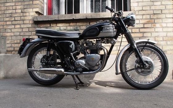 Motorrad Occasion Triumph Capacity 500 - Bild 2