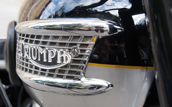 Motorrad Occasion Triumph Capacity 500 - Bild 4