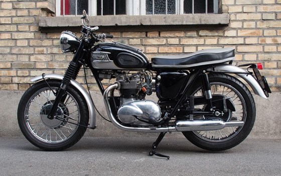 Motorrad Occasion Triumph Capacity 500 - Bild 5