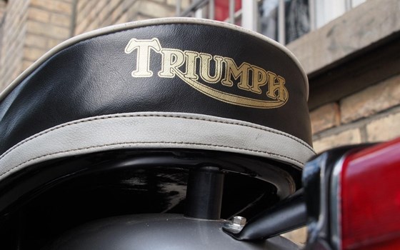 Motorrad Occasion Triumph Capacity 500 - Bild 6