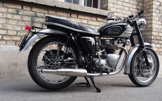 Motorrad Occasion Triumph Capacity 500 - Bild 7