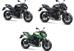 Neumotorrad Kawasaki Z650 RS