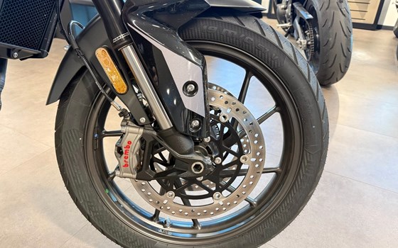 Gebrauchtmotorrad Triumph Tiger 900 GT Pro - Bild 5