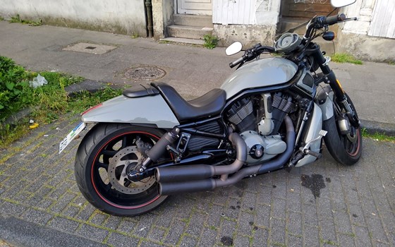 Gebrauchtmotorrad Harley-Davidson Night Rod Special VRSCDX - Bild 2