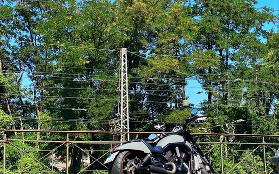 Gebrauchtmotorrad Harley-Davidson Night Rod Special VRSCDX - Bild 4