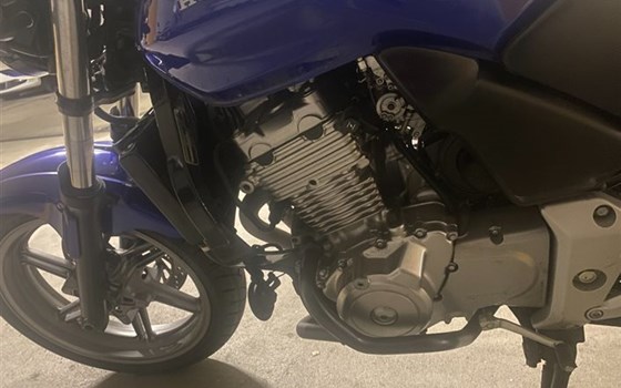 Motorrad Occasion Honda CBF 500 - Bild 10