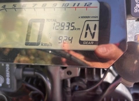 Motorrad Occasion Honda CRF300 Rally - Bild 8