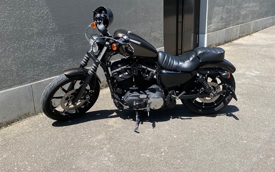 Motorrad Occasion Harley-Davidson Sportster XL 883 N Iron - Bild 1