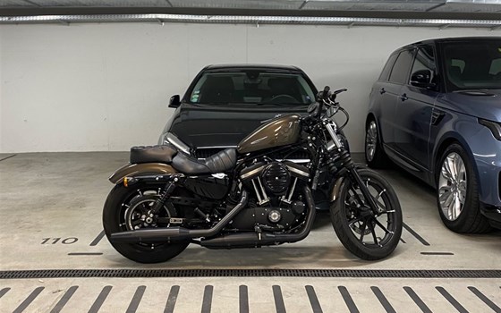 Motorrad Occasion Harley-Davidson Sportster XL 883 N Iron - Bild 2