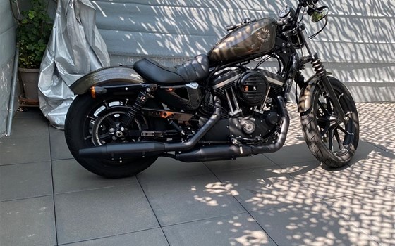 Motorrad Occasion Harley-Davidson Sportster XL 883 N Iron - Bild 3