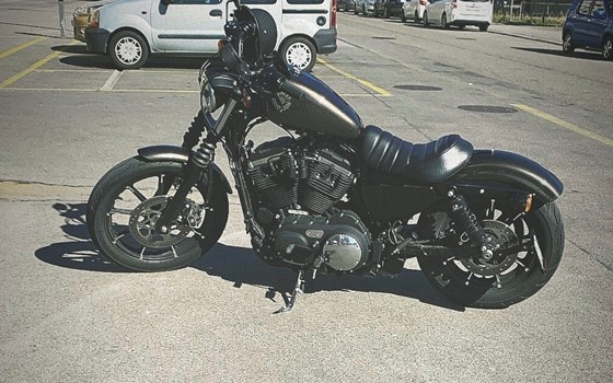 Motorrad Occasion Harley-Davidson Sportster XL 883 N Iron - Bild 4