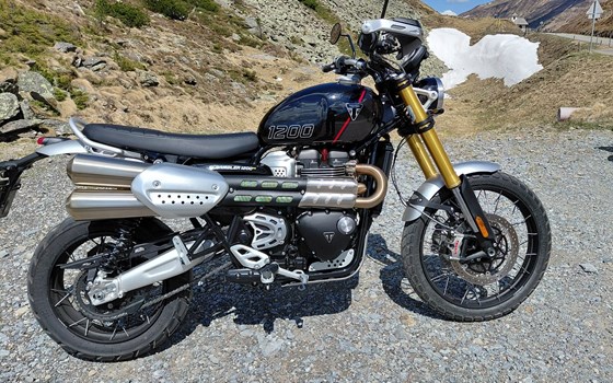 Gebrauchtmotorrad Triumph Scrambler 1200 XE - Bild 1 Gebrauchtmotorrad Triumph Scrambler 1200 XE - Bild 1