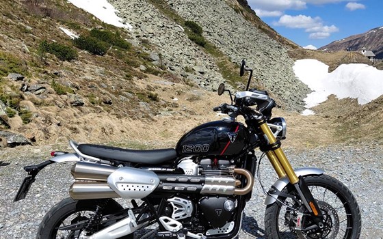 Gebrauchtmotorrad Triumph Scrambler 1200 XE - Bild 2 Gebrauchtmotorrad Triumph Scrambler 1200 XE - Bild 2