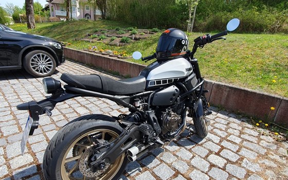 Gebrauchtmotorrad Yamaha XSR700 - Bild 5