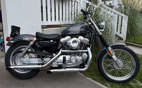 Gebrauchtmotorrad Harley-Davidson Sportster XL 1200 - Bild 1 Gebrauchtmotorrad Harley-Davidson Sportster XL 1200 - Bild 1
