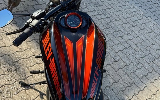 Gebrauchtmotorrad Harley-Davidson V-Rod Night Rod VRSCD - Bild 4 Gebrauchtmotorrad Harley-Davidson V-Rod Night Rod VRSCD - Bild 4