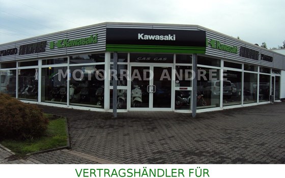 Gebrauchtmotorrad Kawasaki Eliminator 500 - Bild 11