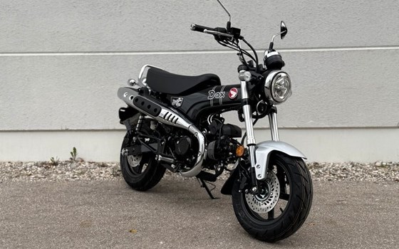 Gebrauchtmotorrad Honda Dax 125 - Bild 2