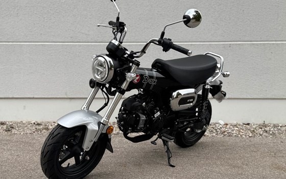 Neufahrzeug Honda Dax 125 - Bild 4