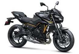 Neumotorrad Kawasaki Z650 RS