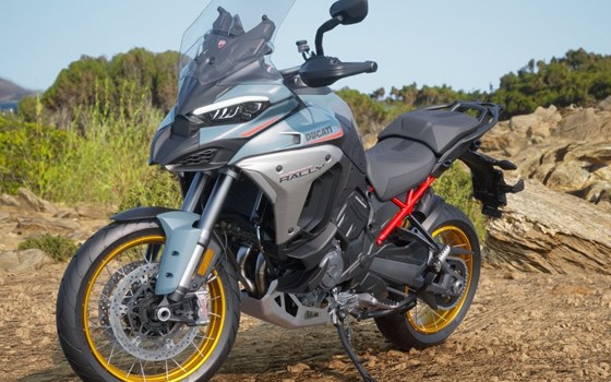Neufahrzeug Ducati Multistrada V4 Rally - Bild 1