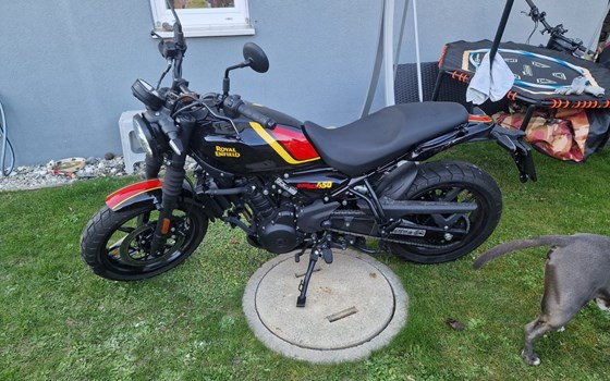 Gebrauchtmotorrad Royal Enfield Guerrilla 450 - Bild 3