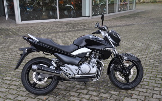 Gebrauchtmotorrad Suzuki GW250 Inazuma - Bild 2