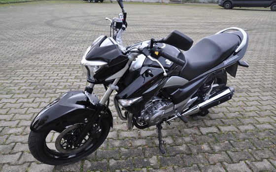 Gebrauchtmotorrad Suzuki GW250 Inazuma - Bild 5