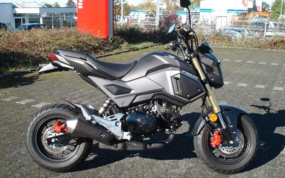 Gebrauchtmotorrad Honda MSX 125 - Bild 1