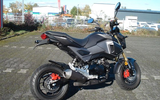 Gebrauchtmotorrad Honda MSX 125 - Bild 2