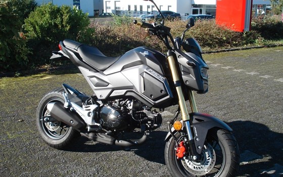 Gebrauchtmotorrad Honda MSX 125 - Bild 3
