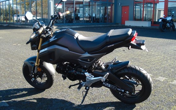 Gebrauchtmotorrad Honda MSX 125 - Bild 5