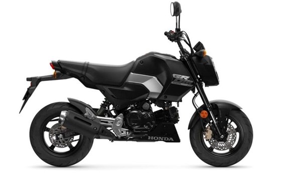 Neufahrzeug Honda MSX 125 - Bild 1